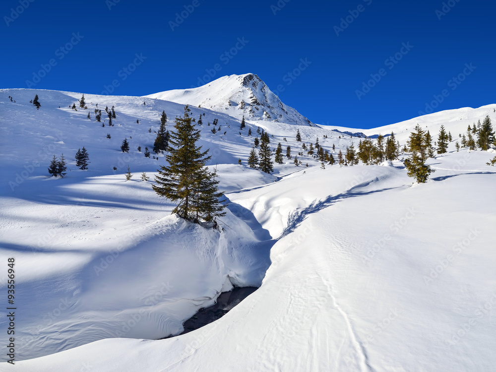 View of the snow-covered mountain. Trees. Frozen river. Clear sky. Winter. Ukraine