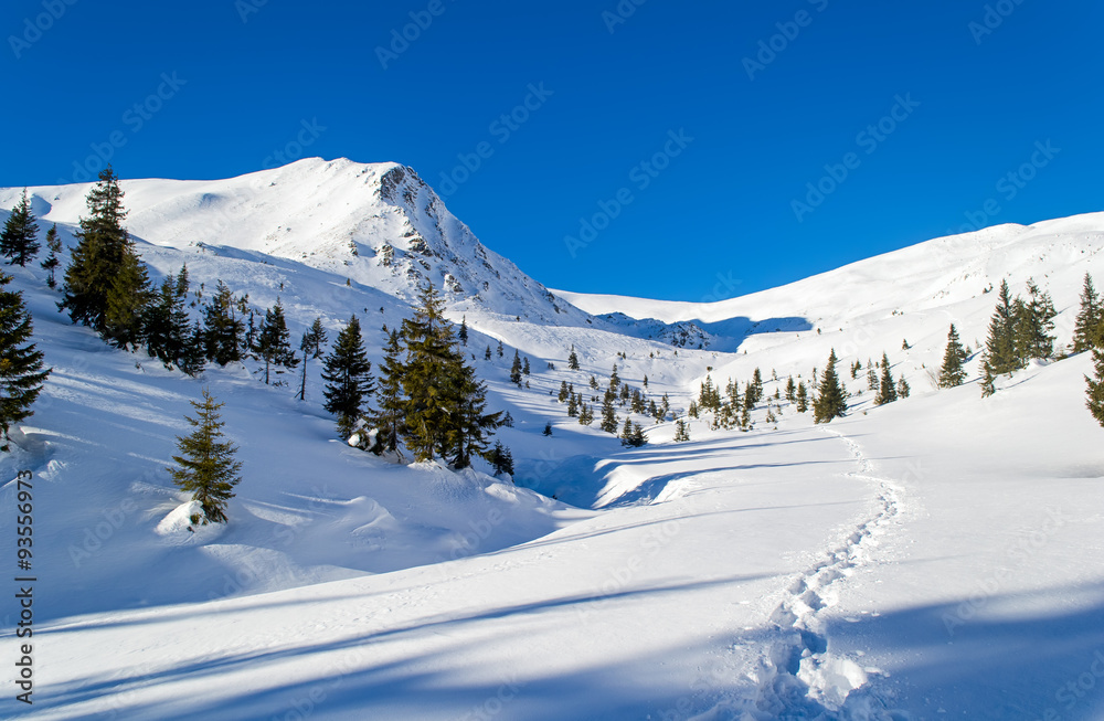 Path in the snow to the mountain. Trees. Long shadows. Clear sky, sunny. Winter. Ukraine