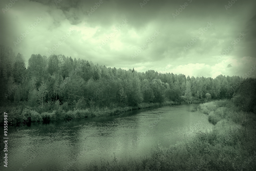Fototapeta premium monochrome landscape nature park