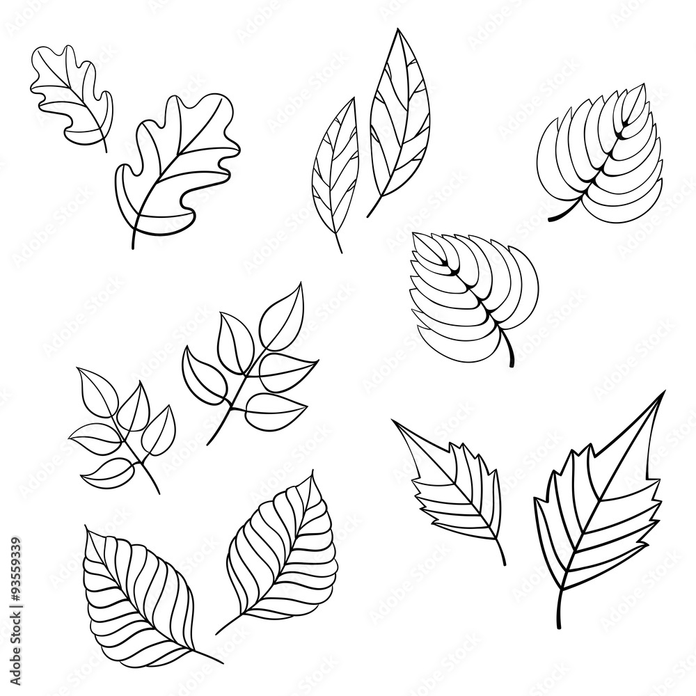 Black leaves vector illustration Black leaves vector illustration