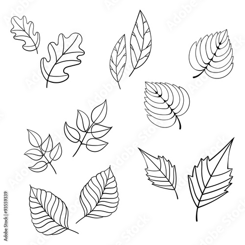 Black leaves vector illustration