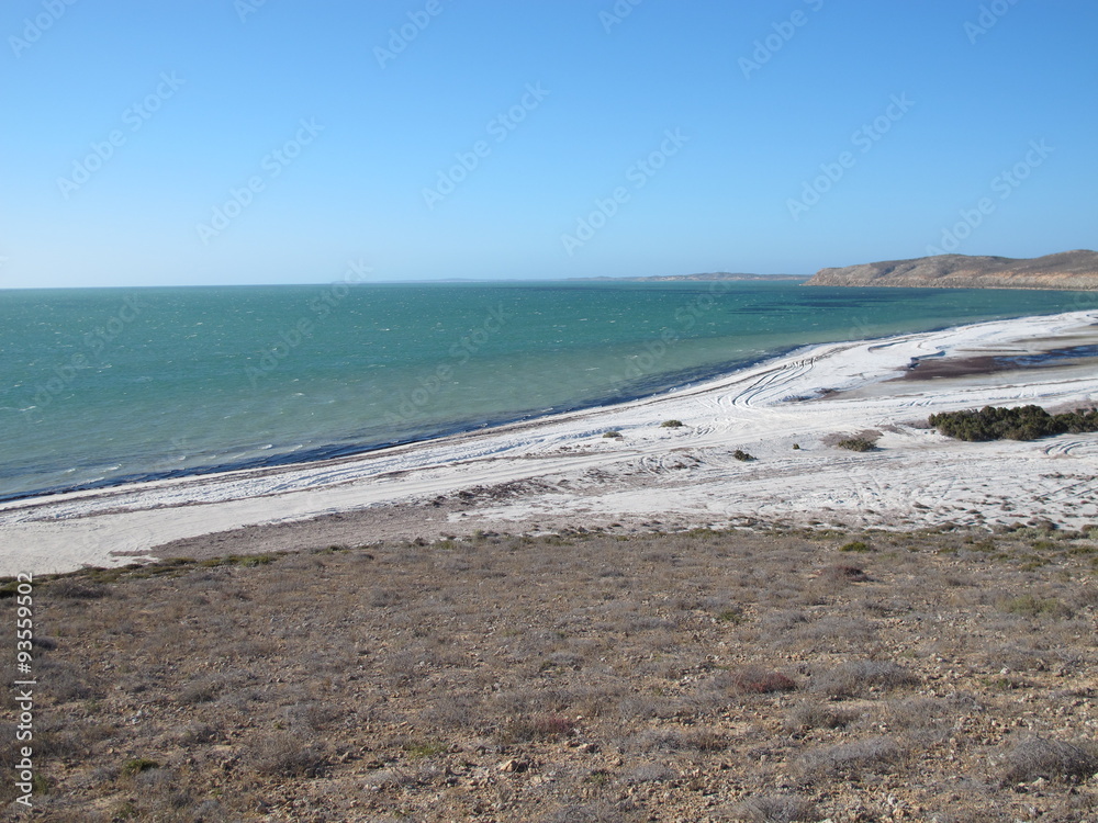 eagle bluff, shark bay, western australia eagle bluff, shark bay, western australia