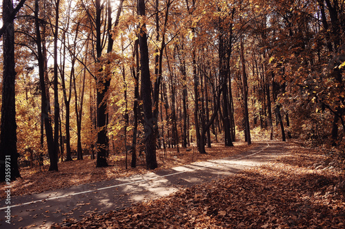 concept autumn in city