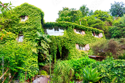 House overgrown with ivy #93560921