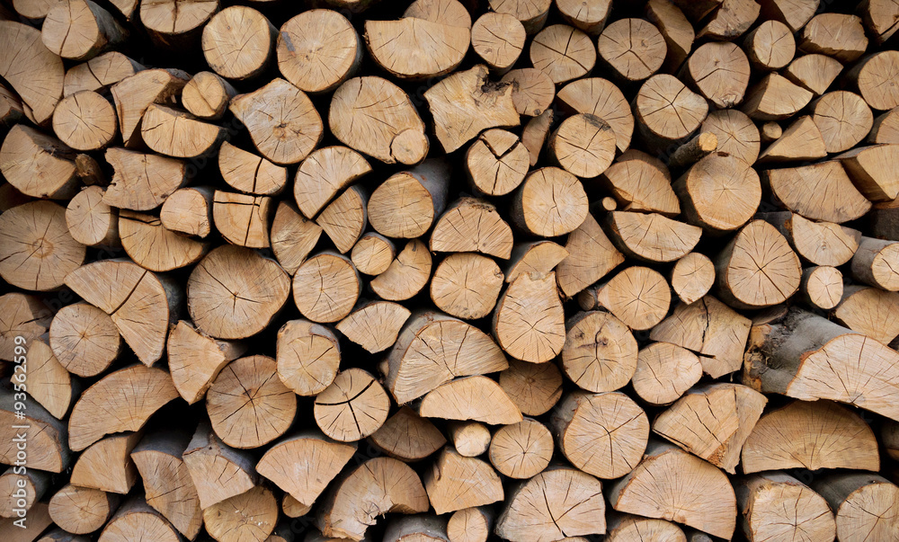 Stack of wood prepared for winter