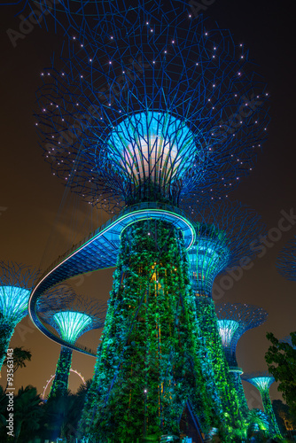Night view of The Supertree Grove at Gardens by the Bay