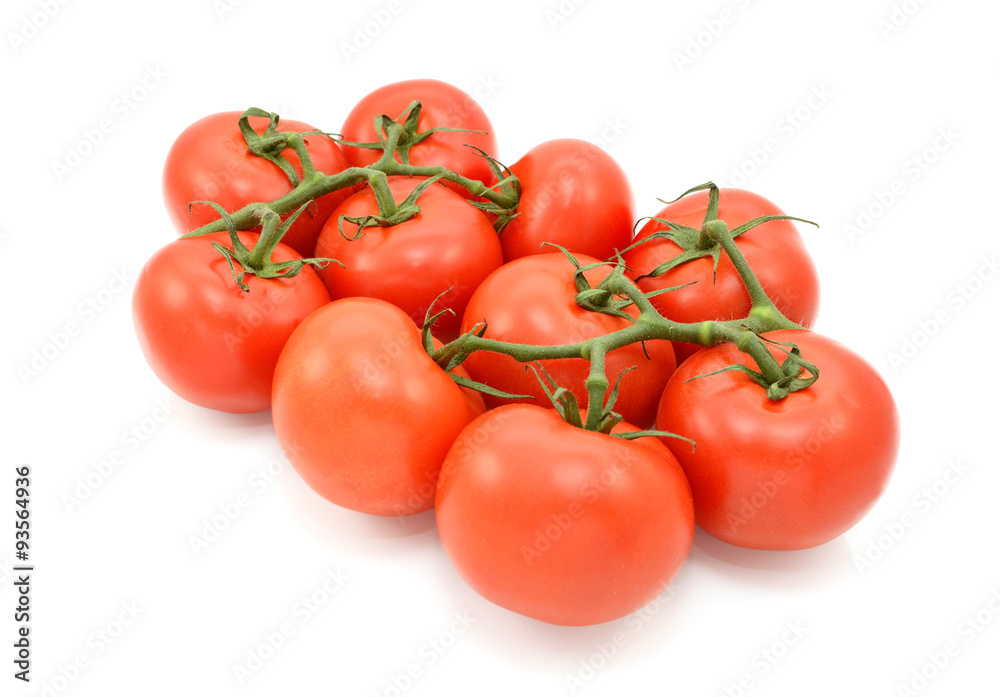 Red tomatoes on the vine