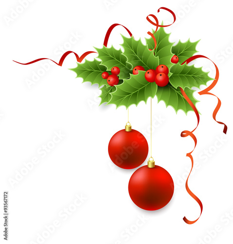 Vector Christmas holly with berries.