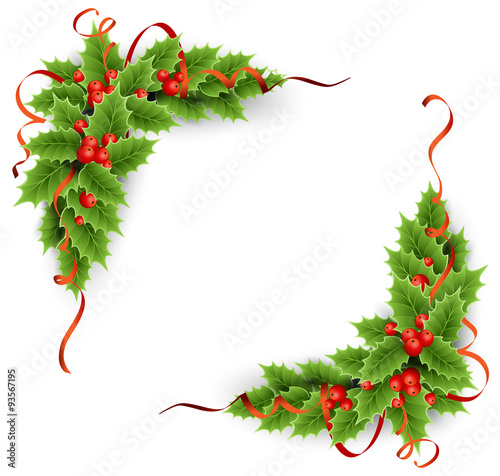 Vector Christmas holly with berries.