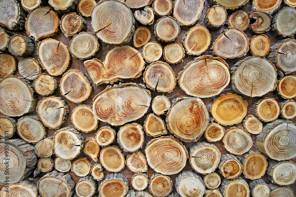 Background from wood Background from wood