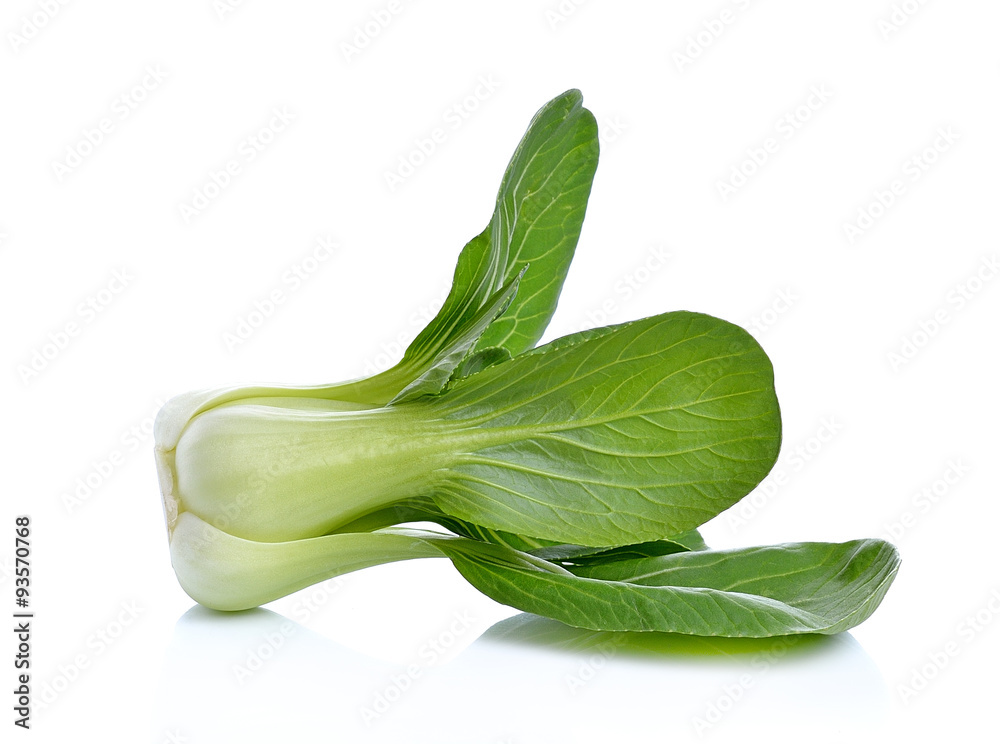 Bok choy (chinese cabbage) isolated on white Bok choy (chinese cabbage) isolated on white