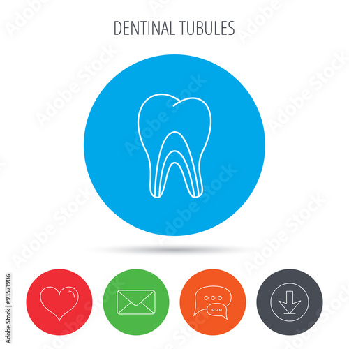 Dentinal tubules icon. Tooth medicine sign.