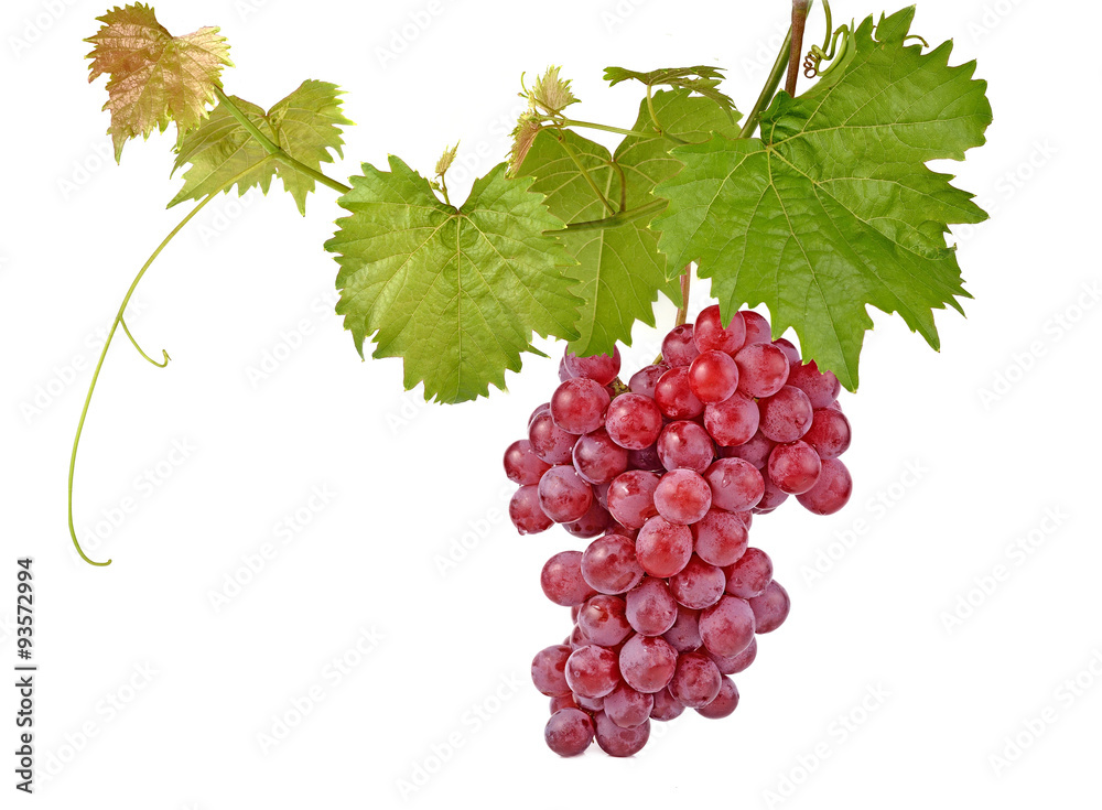Fototapeta premium red grapes isolated on white background