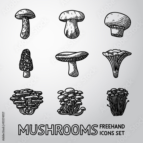 Set of freehand MUSHROOMS icons - porcini, champignon, morel