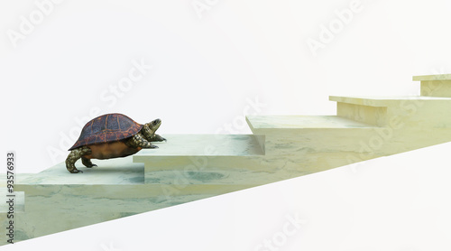 moving turtle wants to climb on the stairs concept background photo