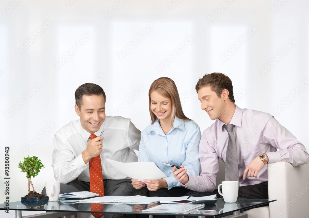 Fototapeta premium Business Meeting.