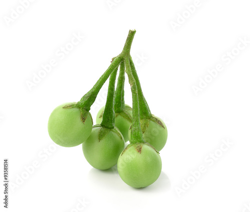 Solanum torvum on white background