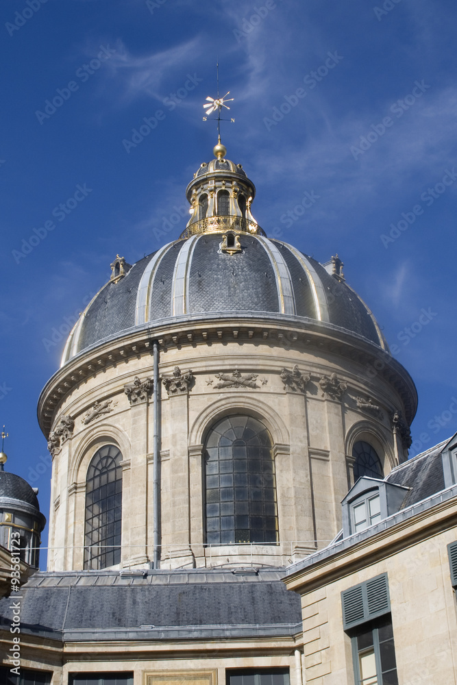 Dome on the French Academy building.Paris, France