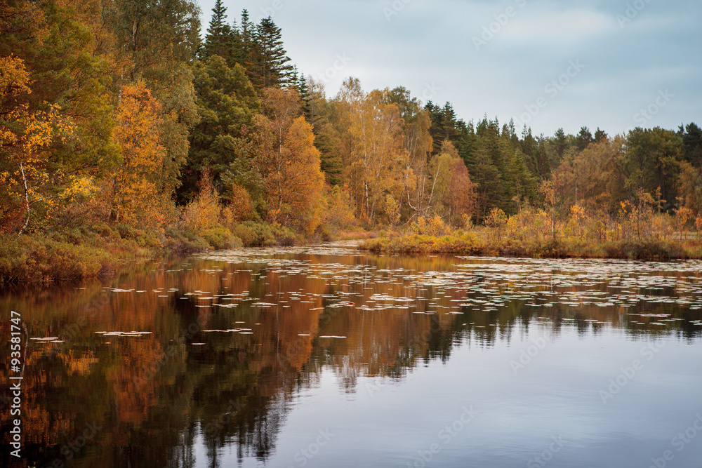 Swedish Autumn