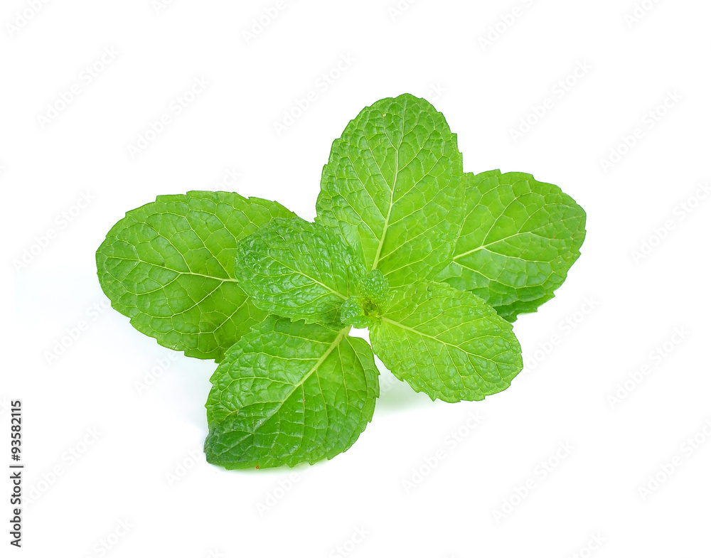 mint leaves isolated on white background mint leaves isolated on white background