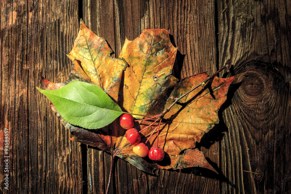 Obraz premium Crabapples on maple leaf.