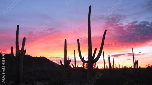 A southwest sunrise in Saguaro National Park, Tucson, Arizona