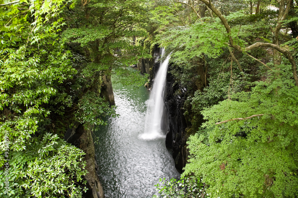 Obraz premium Waterfall in a gorge