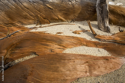 Pieces of stained driftwood logs at Flagstaff Lake in Maine. photo