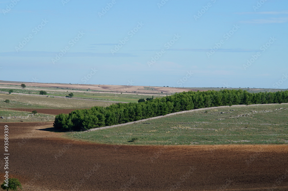 Area rurale della Puglia Area rurale della Puglia