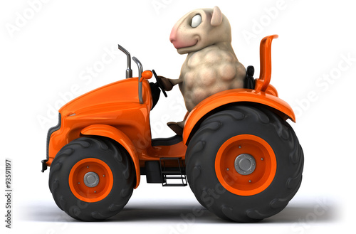 Fotografie Fun sheep