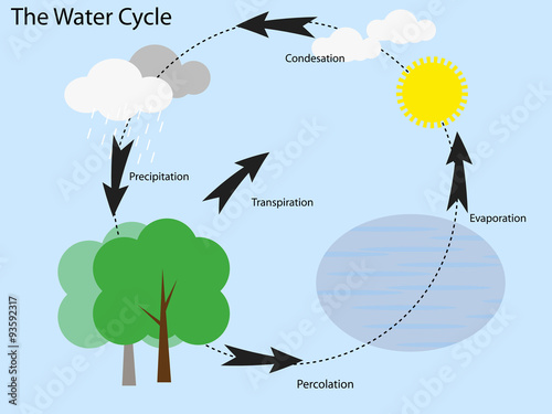 the water cycle 