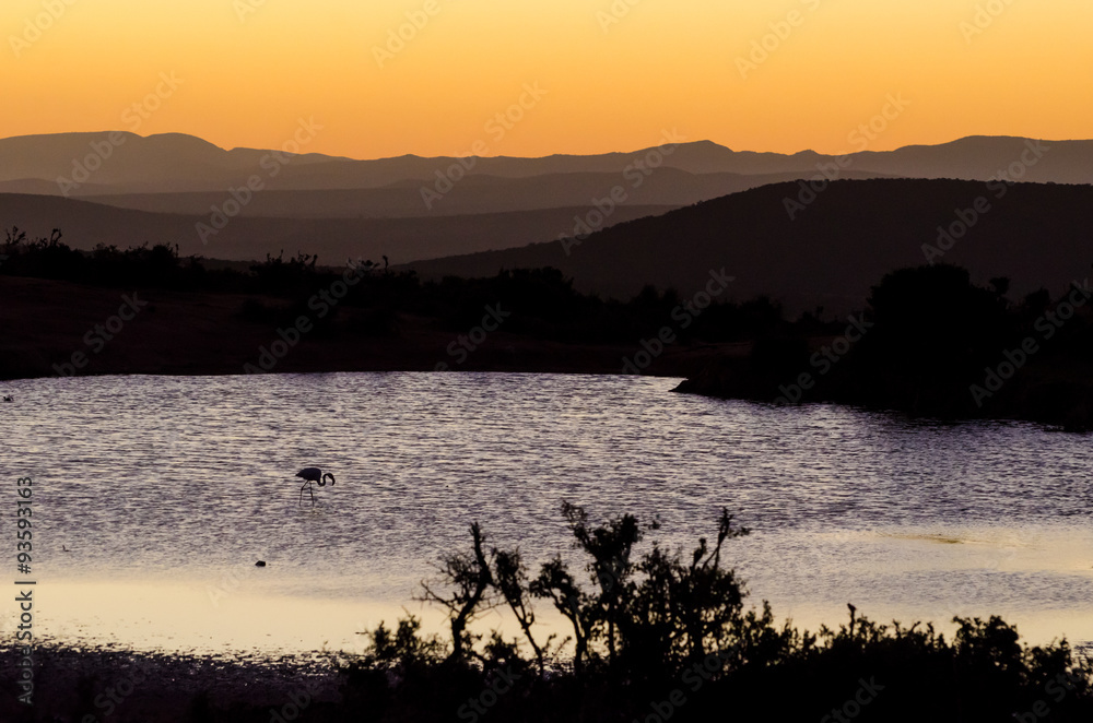 Paesaggio tramonto, Addo elephants park, Sudafrica