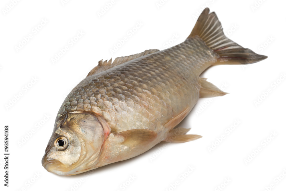 Freshly freshwater fish Crucian carp