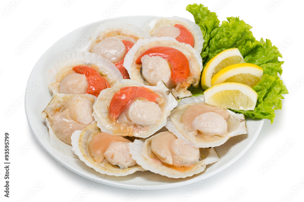 Fresh scallops in the wings for cooking