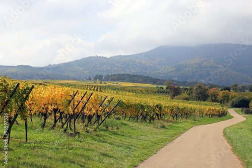 Elsass
