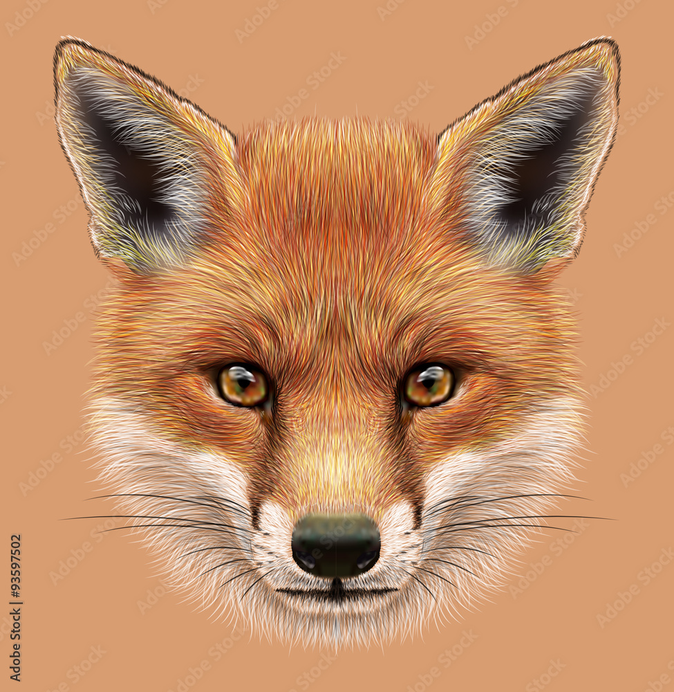 Obraz premium Illustrative Portrait of a Red Fox. The cute fluffy face of forest Fox.