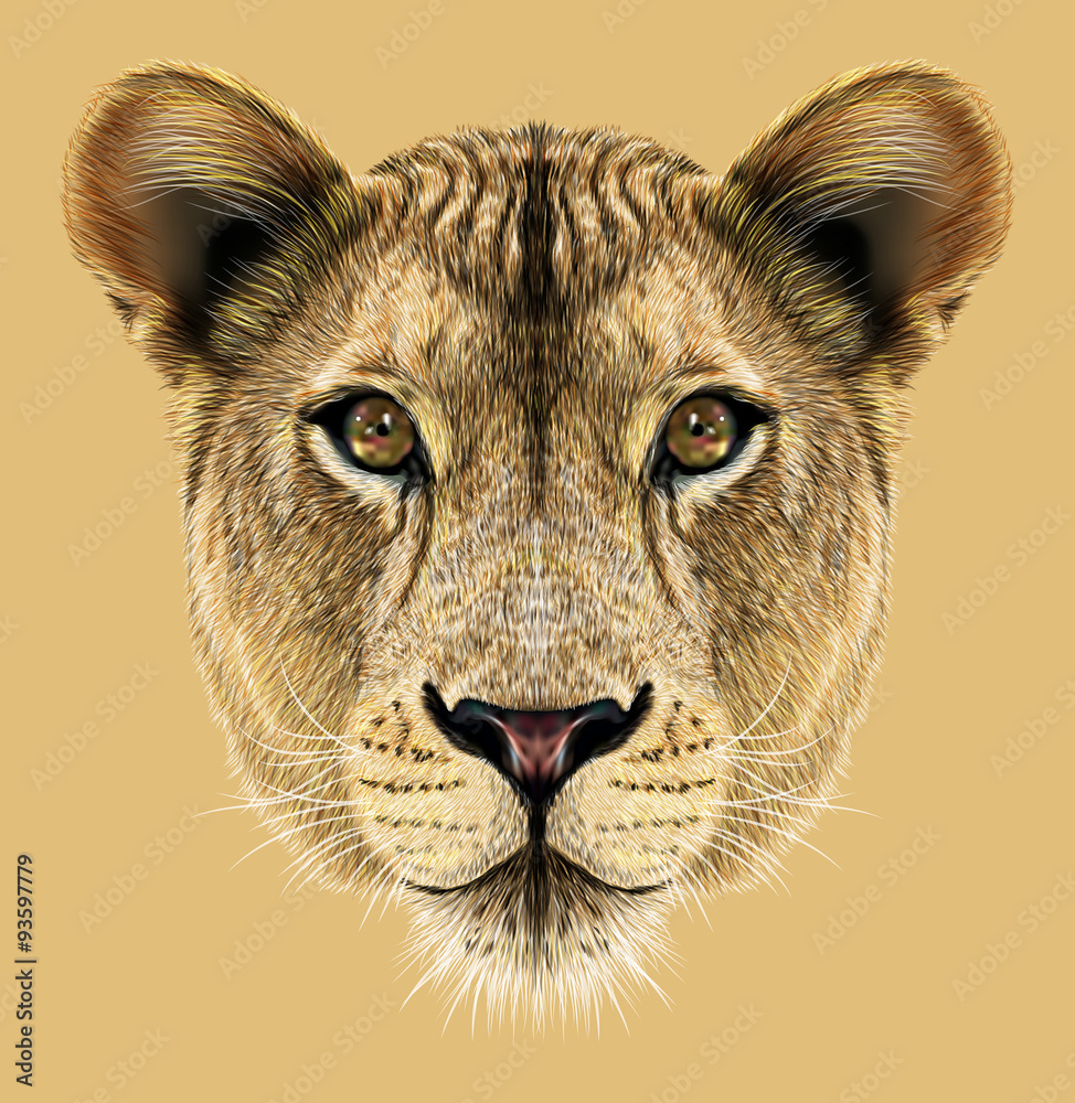 Naklejka premium Lwica zwierzę śliczna twarz. Ilustrowany portret głowy kota afrykańskiego dzikiego lwa. Portret realistyczny futro lwicy na białym tle na beżowym tle.