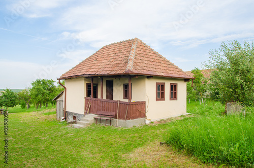 Wallpaper Mural Traditional romanian rural house in Transylvania with fresh green grass and trees around on a sunny summer day with a beautifull wood porch Torontodigital.ca