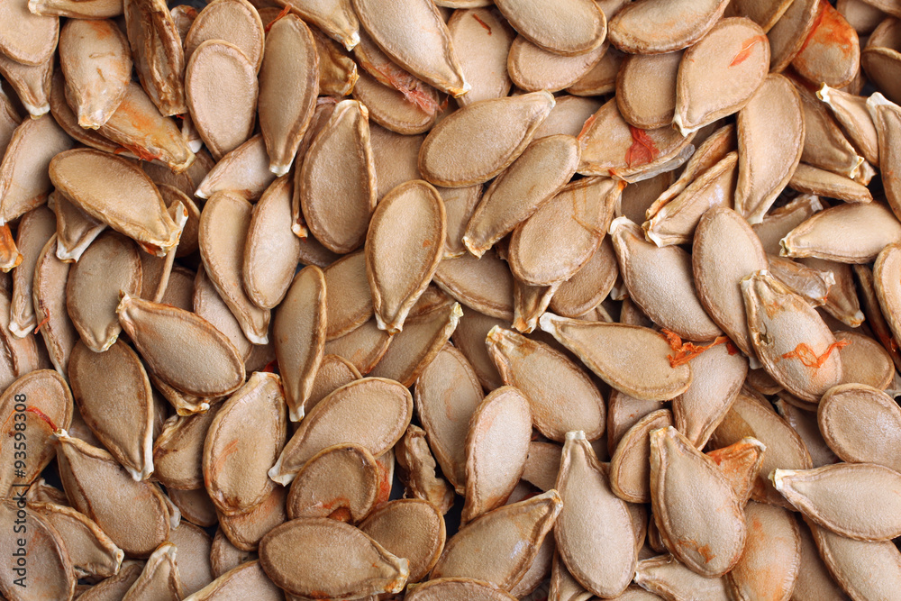 pumpkin seeds close up pumpkin seeds close up