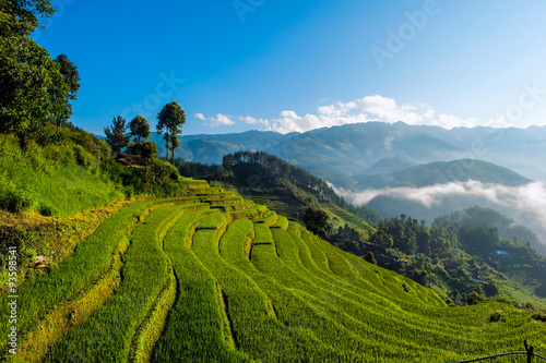 Terraced rice fields  Yen Bai province  Vietnam
