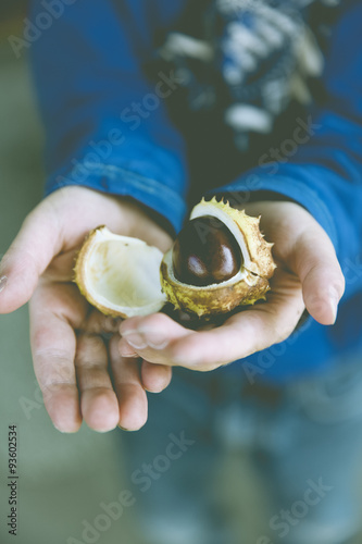 child with chestnut conker