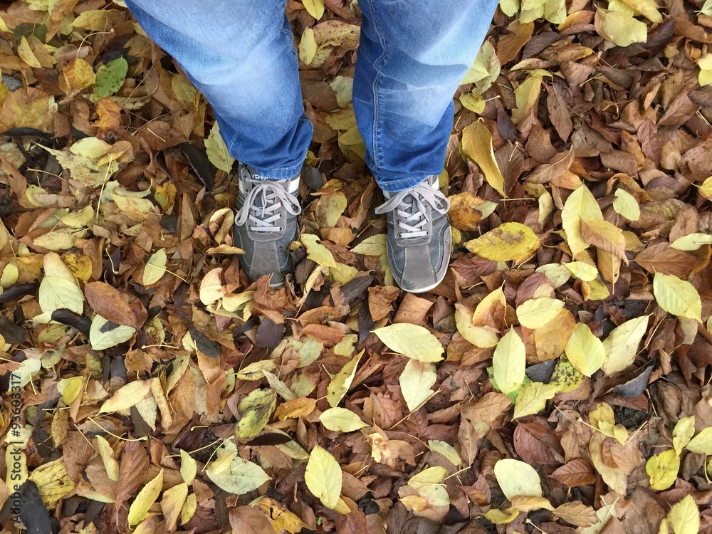 Obraz premium autunno