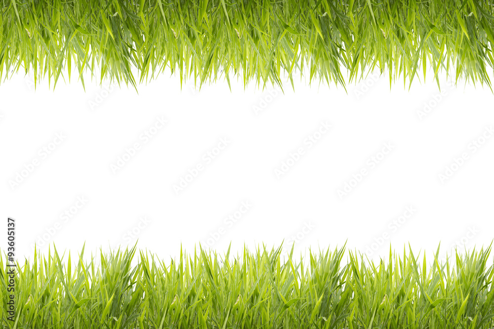 Green grass frame isolated on white background Green grass frame isolated on white background