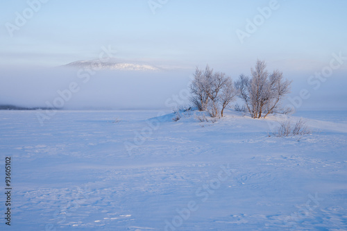 Morgennebel im Winter   ber einem zugefrorenen See