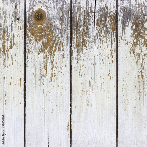 Wallpaper Mural The white wood texture with natural patterns background Torontodigital.ca