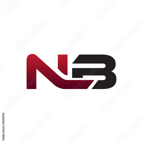 Modern Initial Logo NB