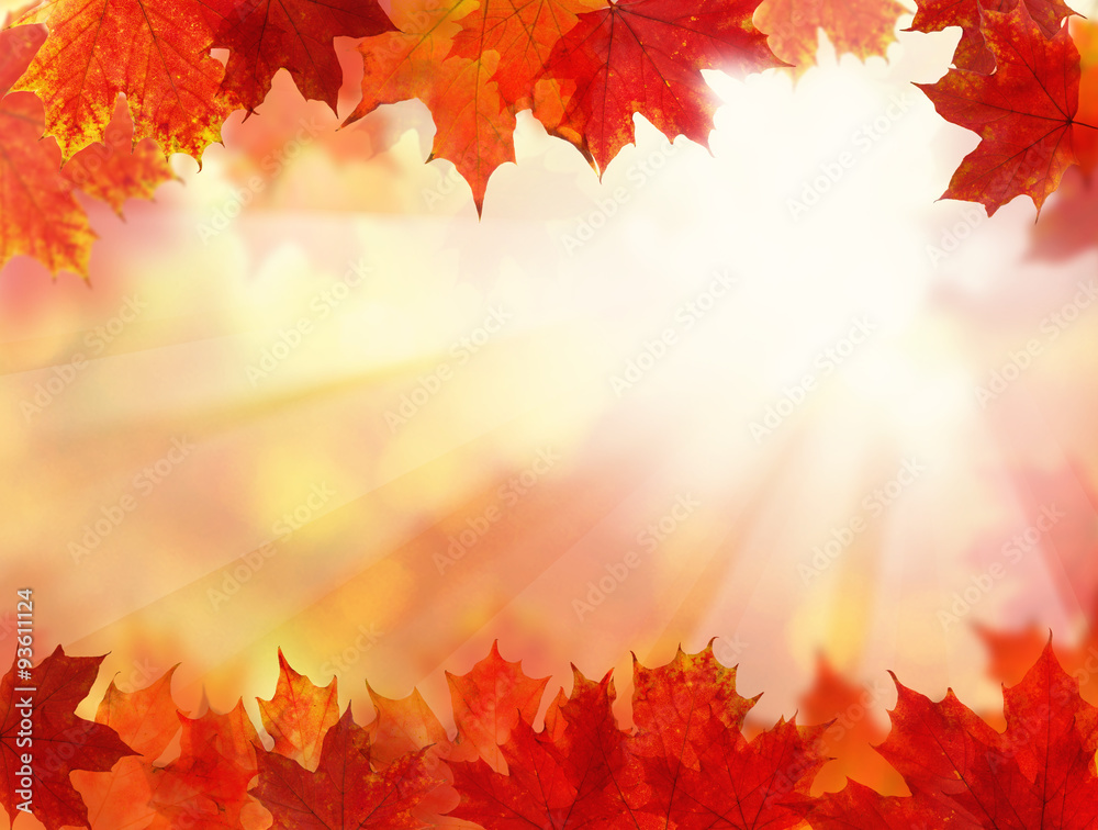 Fall Background with Autumn Maple Leaves - obrazy, fototapety, plakaty 