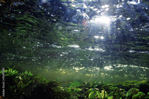 Underwater in a mountain river