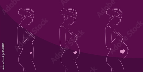 trimester lila