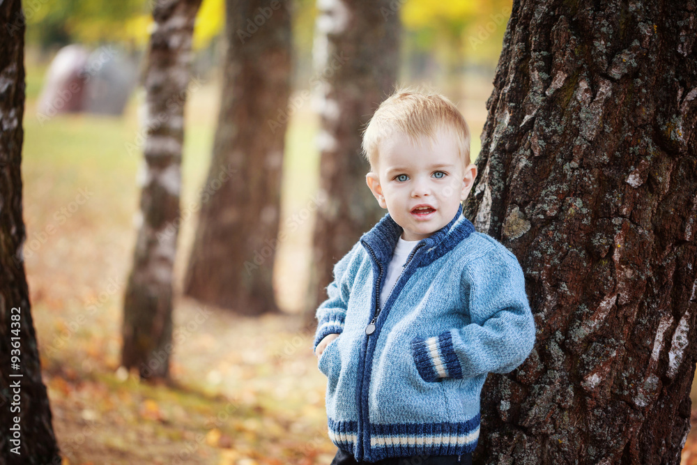 Portrait Cute little boy in a knitted sweater is playing behind a tree in autumn park. Portrait Cute little boy in a knitted sweater is playing behind a tree in autumn park.